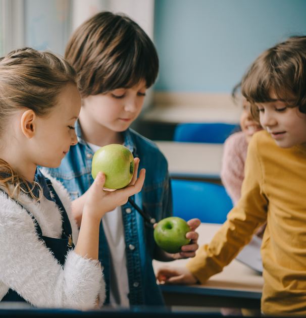 A well-balanced, low-sugar diet